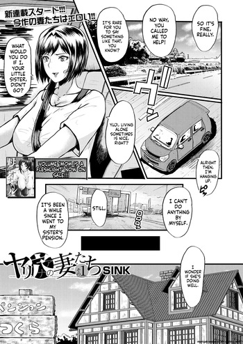 [SINK] Slut Wives [English] [Digital] cover