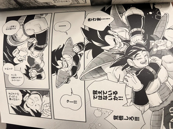 Raditz cover