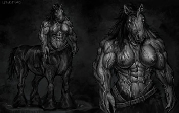 Sevastians Twitter cover