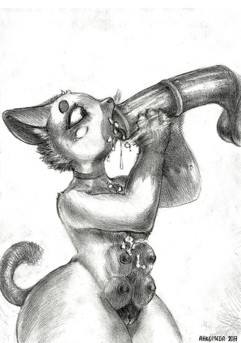 Artist - Arkomeda cover