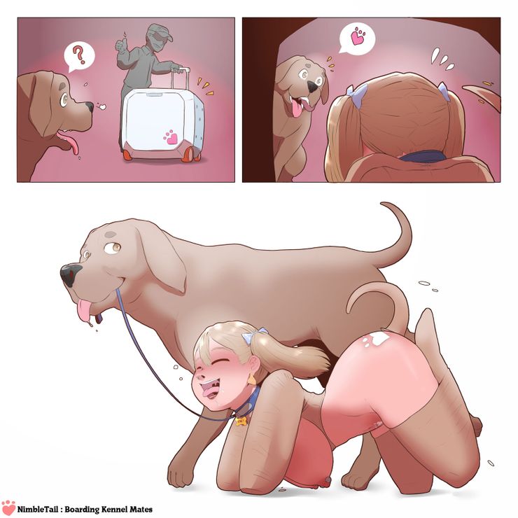 Boarding Kennel Mates page 3 full