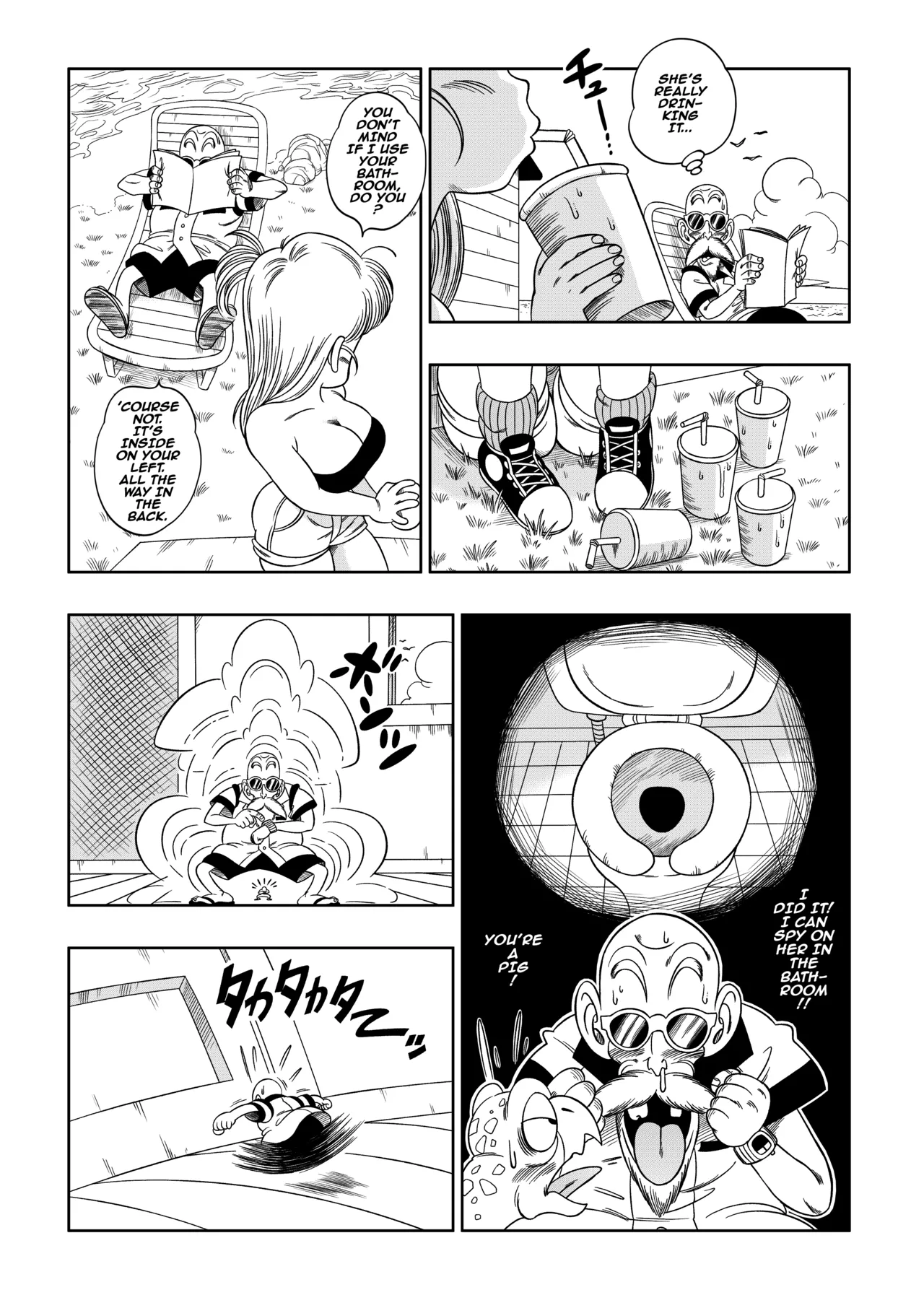 Kame Toilet | Turtle Toilet page 5 full