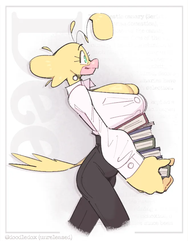  page 6 full
