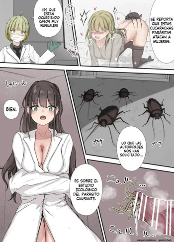 After Report (Spanish) MTL cover