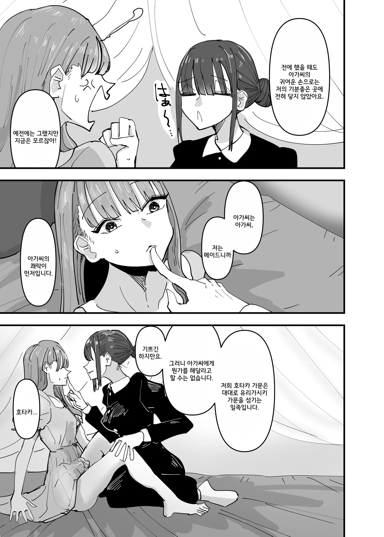 Ijiwaru na Do-S Maid o Wakarasetai Ojou-sama no Hanashi | 괴롭히는 도S 메이드를 깨닫게 해주고 싶은 아가씨의 이야기 page 11 full