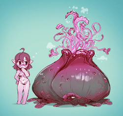 smobro  Updated: 2/24/2026