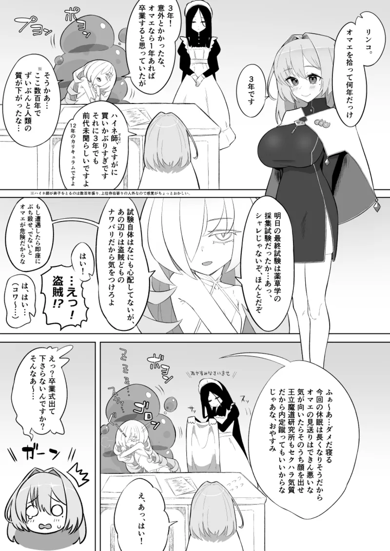 魔法学院主席リンコさんのエロ本～盗賊団の肉便器デビュー編～ page 5 full