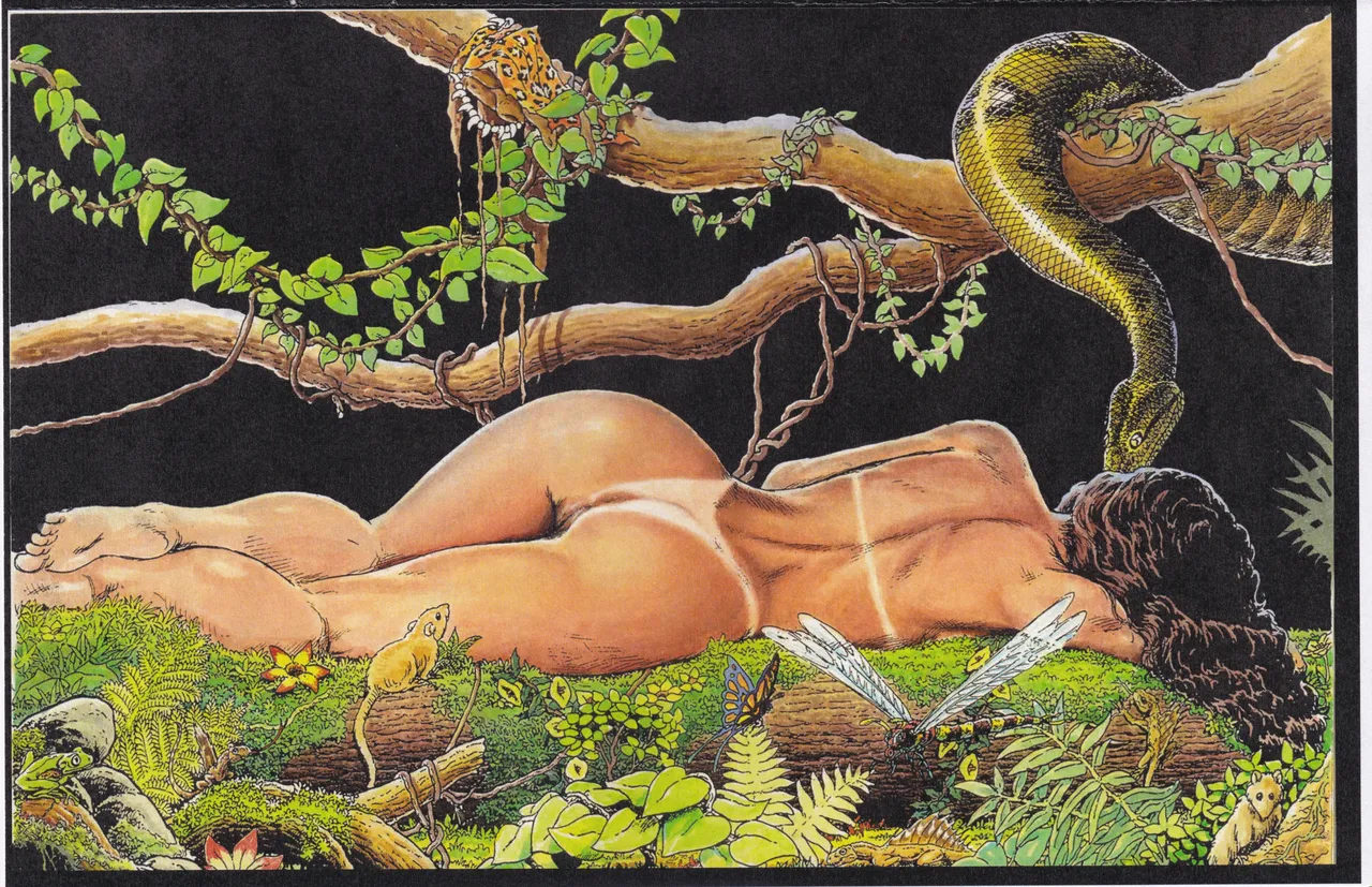 Winter Land of Wonder - Winter 2017 Con Book page 9 full