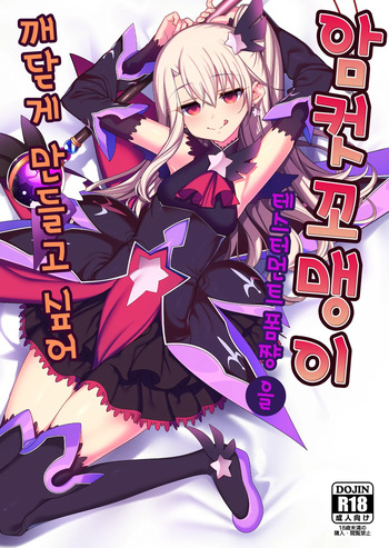 [Ranshi to Kimi to (santa)] Mesugaki Testament Form-chan o Wakarasetai (Fate/Grand Order) [Korean] [Decensored] cover