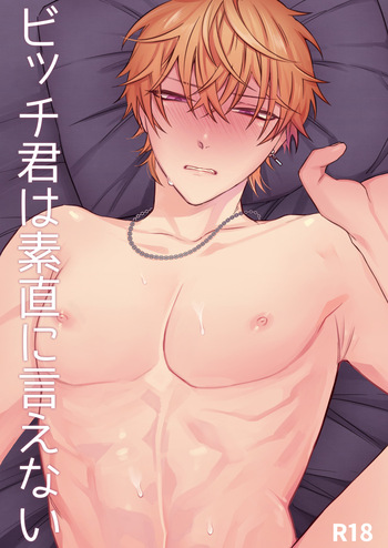 [Demi (Shiwo)] Bitchikun wa Sunao ni Ienai [Digital] cover
