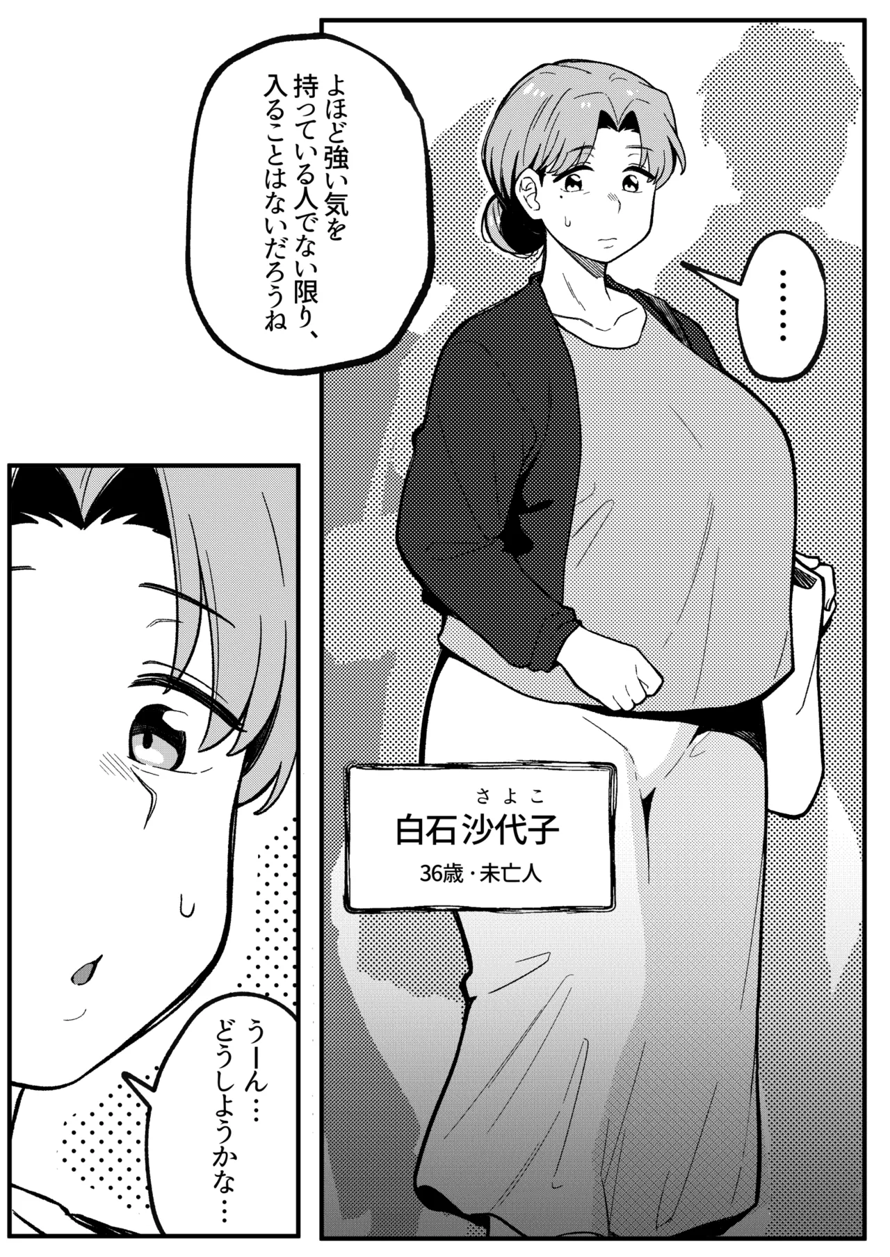 ミラーコレクション 11 page 10 full