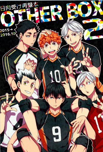 (RTS!! 15) [Yojohan (fzou)] Hinatauke Sairokuhon OTHER BOX 2 (Haikyuu!!) cover