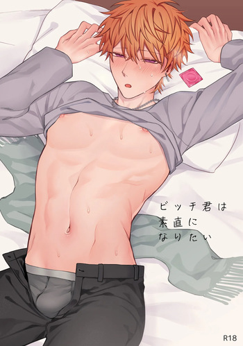 [Demi (Shiwo)] Bitchikun wa Sunao ni Naritai [Digital] cover