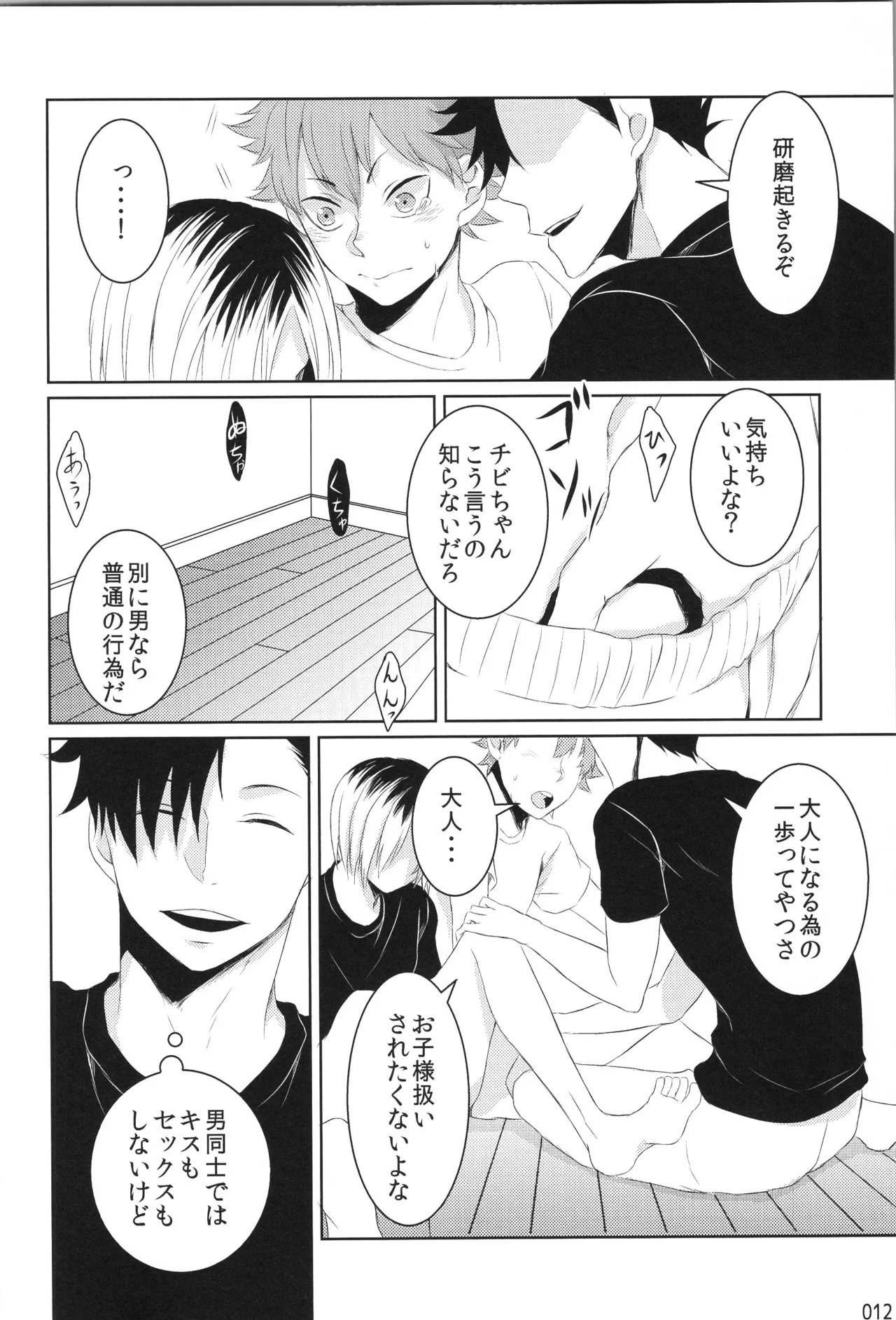 Hokakosei×Hinatashou Sairokuhon OTHER BOX page 11 full