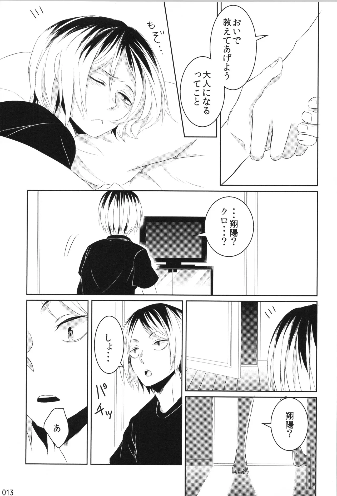 Hokakosei×Hinatashou Sairokuhon OTHER BOX page 12 full