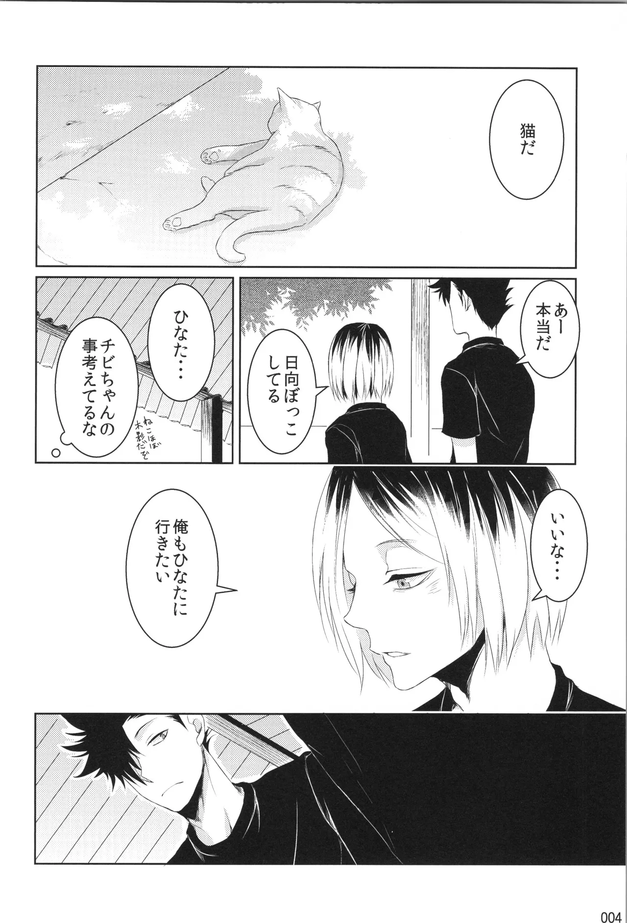 Hokakosei×Hinatashou Sairokuhon OTHER BOX page 3 full