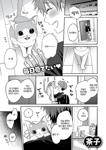 [Chako] Hatsujou Nyanko wa goshujin ni amaetai (WEEKLY Kairakuten 2026 No.07) [Korean] cover