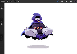 Don't disturb Raven's meditation