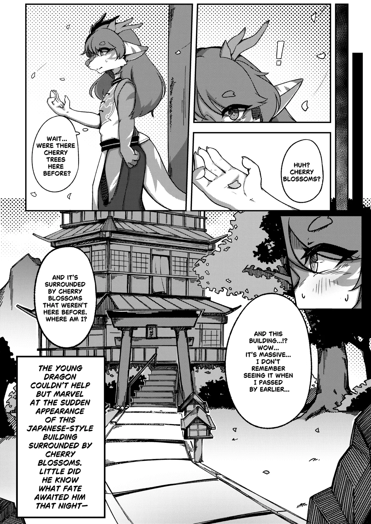 Sakura Blossom Land - A Chance Encounter page 5 full