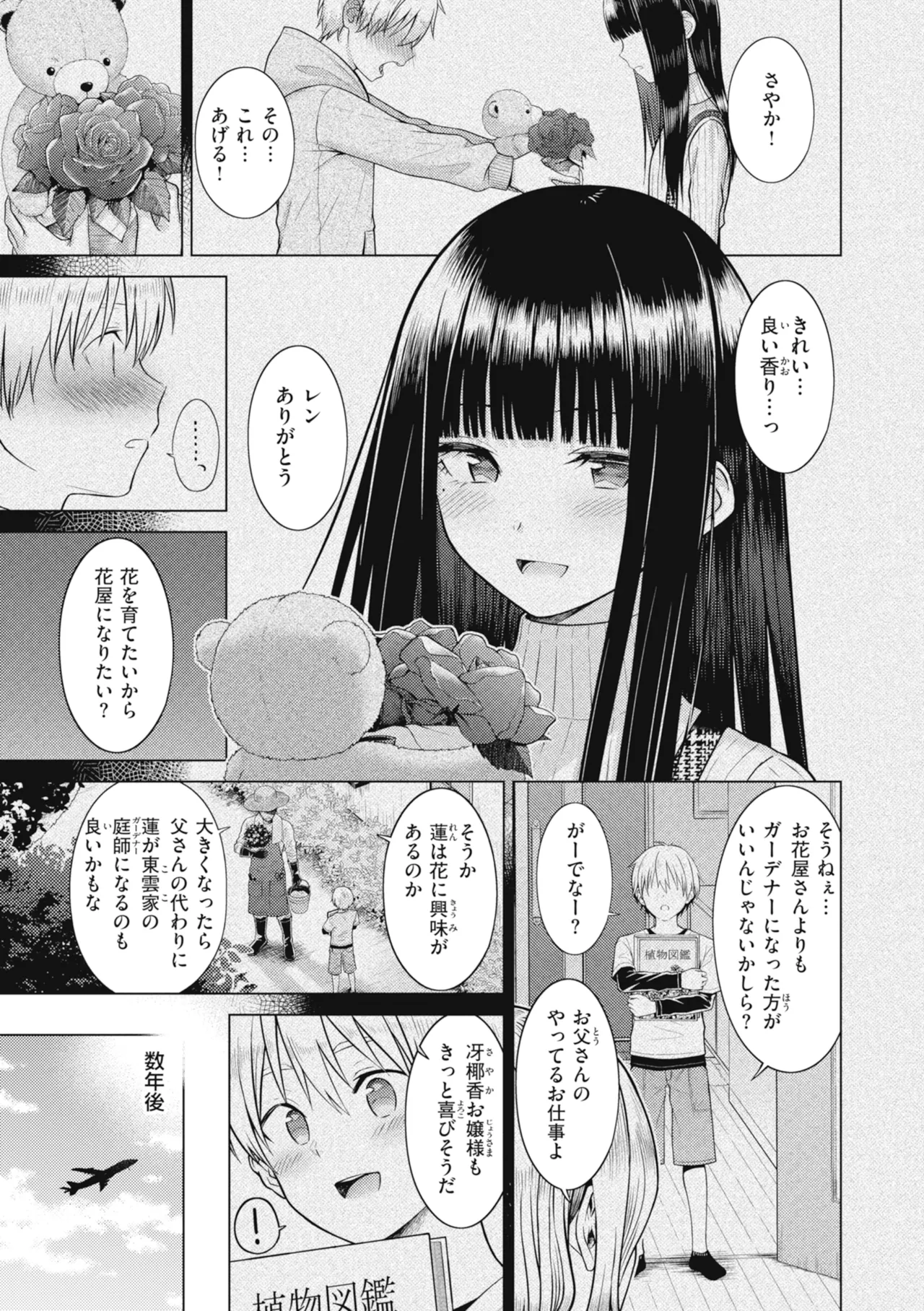 Junpaku Terrarium page 5 full