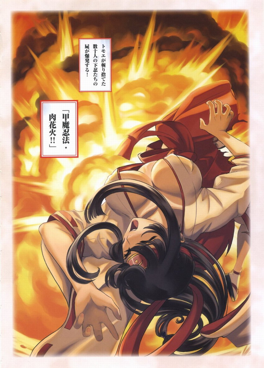 Queen's Blade Tomoe Collection page 11 full