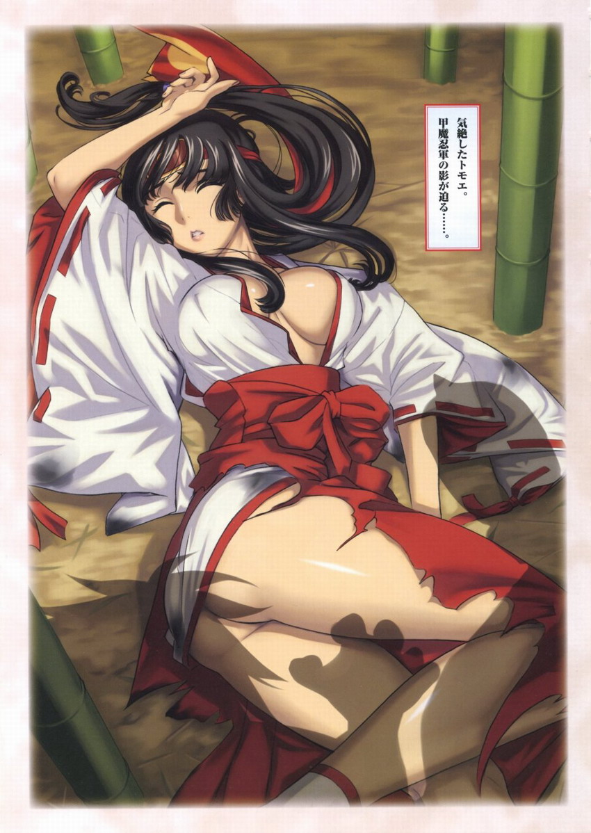 Queen's Blade Tomoe Collection page 12 full