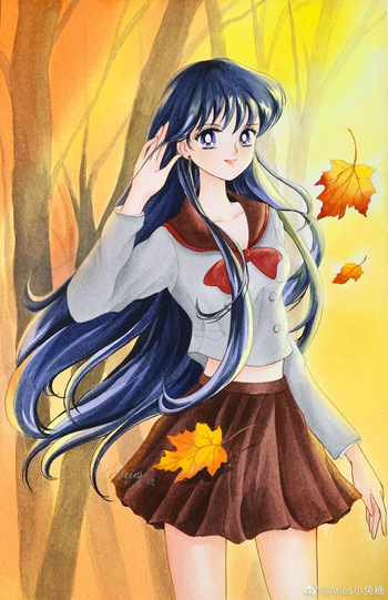 Sailor moon art compilation cover