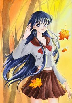 Sailor moon art compilation