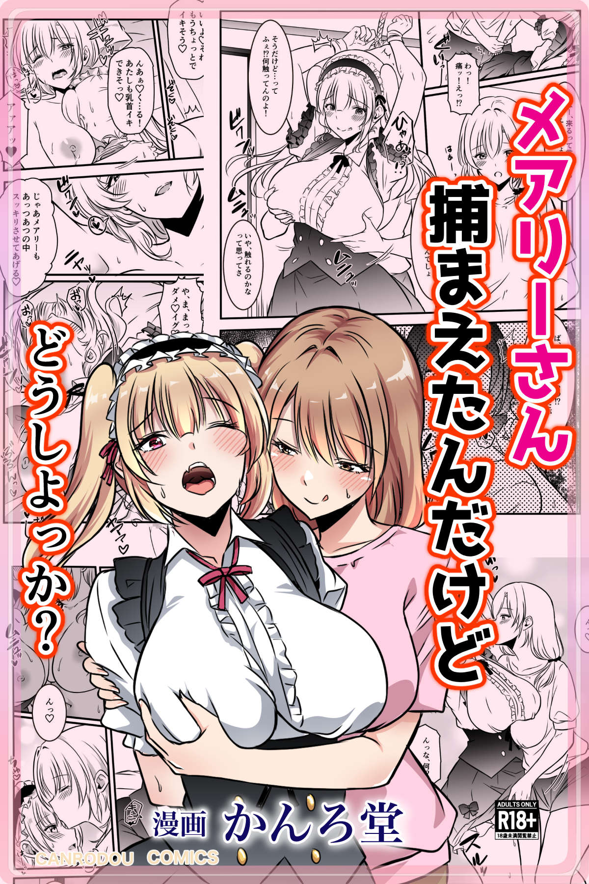 メアリーさん捕まえたんだけどどうしよっか？ page 1 full