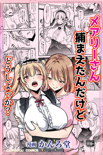 メアリーさん捕まえたんだけどどうしよっか？ cover