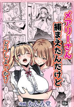 メアリーさん捕まえたんだけどどうしよっか？