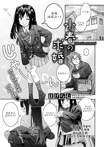 [Hogeram] Koharu no Kyuukon (COMIC Shingeki 2026-04) [korean] [Digital] cover