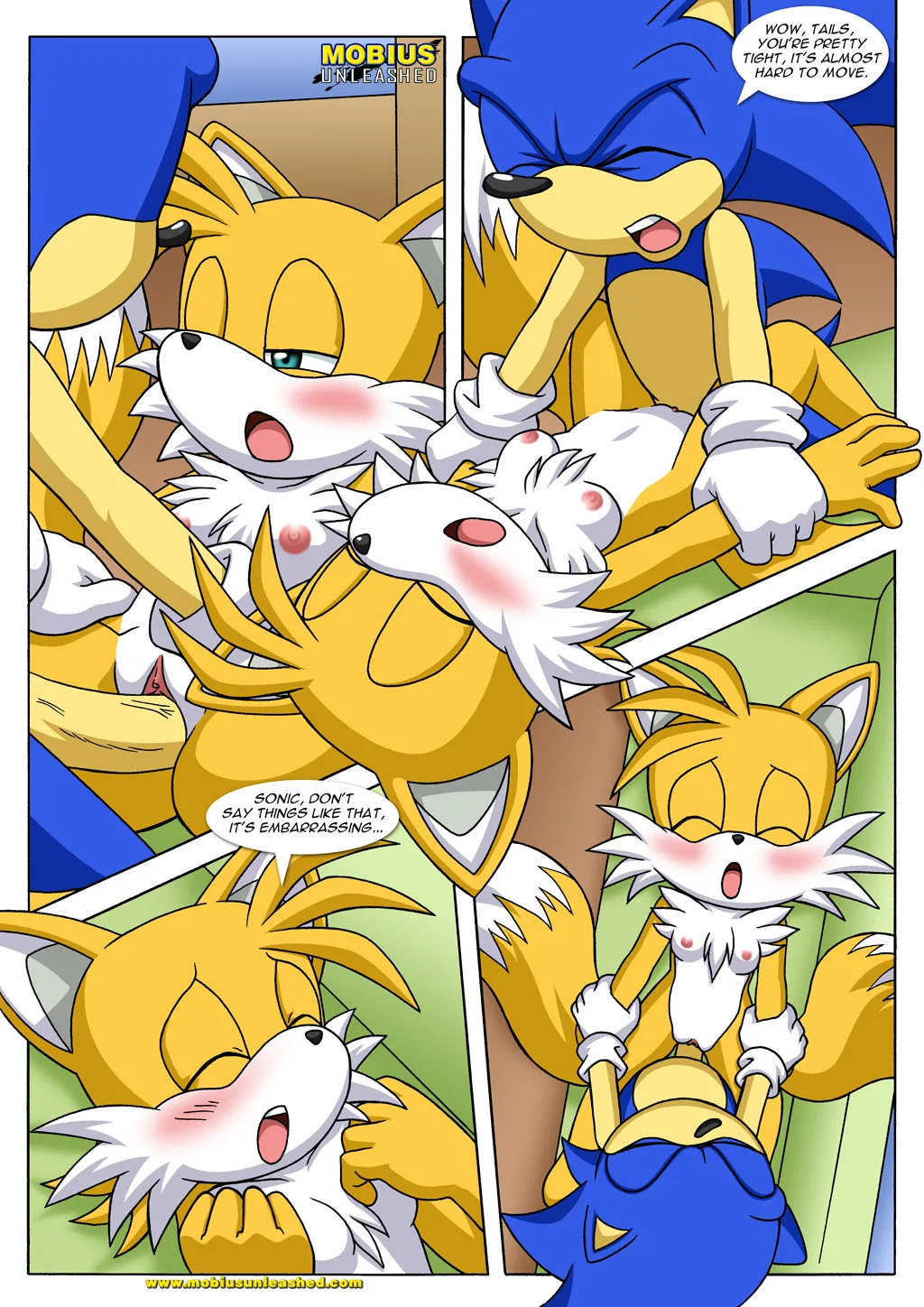 Mobius Unleashed: Tails Tales page 11 full