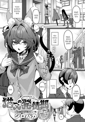 [Shiro Paka] NEKOMATA no HATSUJOUKI (COMIC Anthurium 2025-07) [Korean] cover