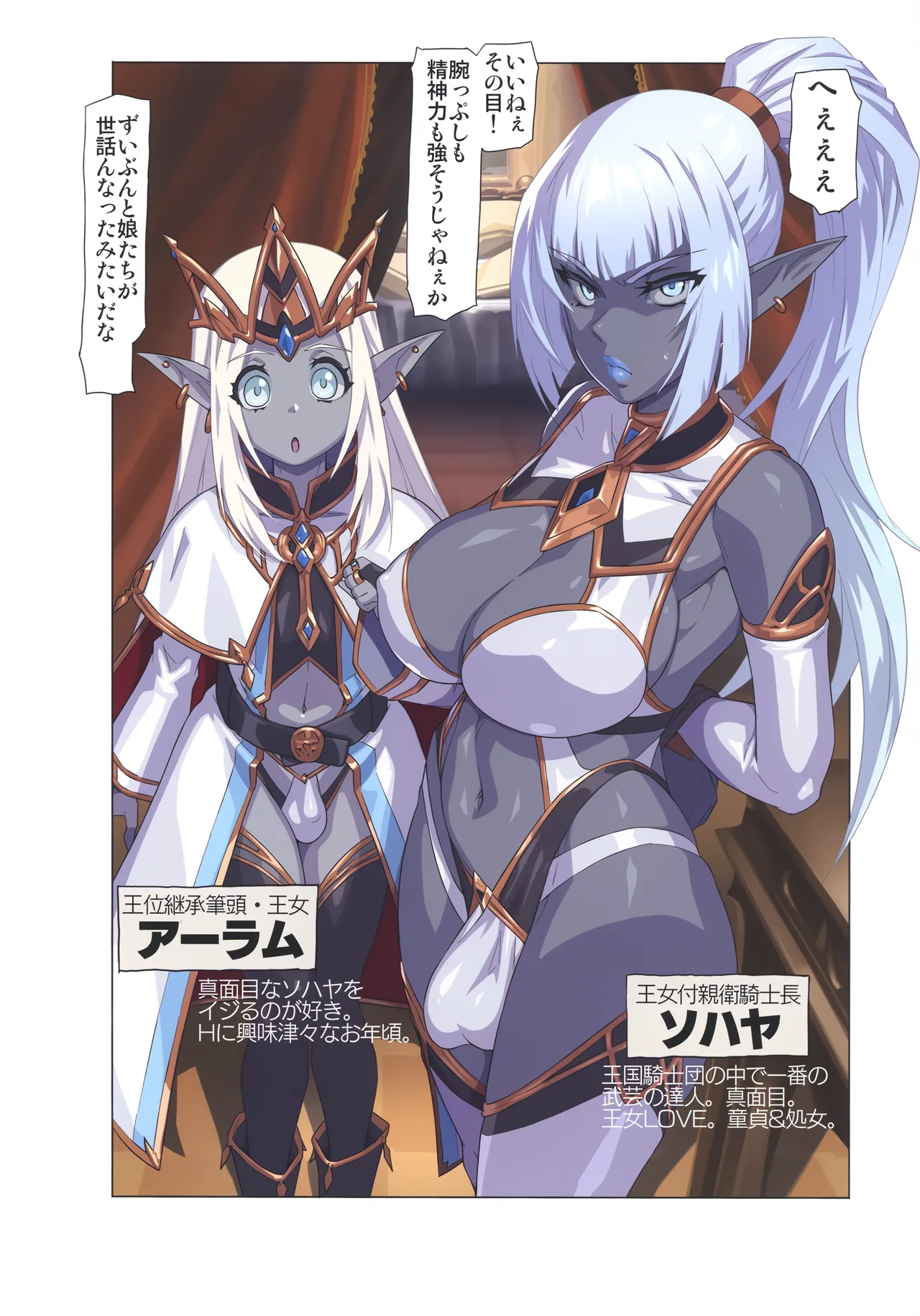 Ogre tai Dark Elf Soushuuhen Plus page 11 full