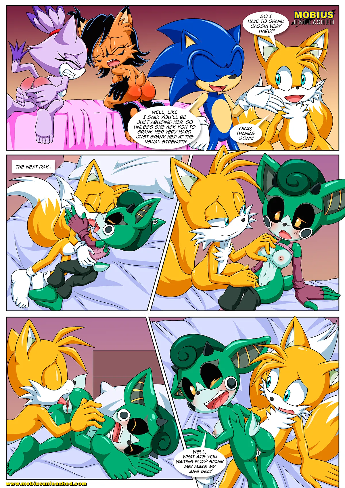 Mobius Unleashed: Sonic's Guide To Spanking page 9 full