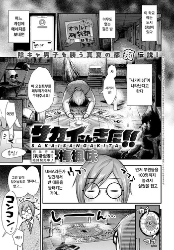 [Ume Fuumi] Sakai-san ga Kita!! | Sakai-san has come!! (COMIC Anthurium 2024-09) [Korean] [Digital] cover