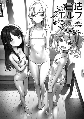 [AskRay (Bosshi)] Gouhou Elf- Fantastic Photo Session test shot cover