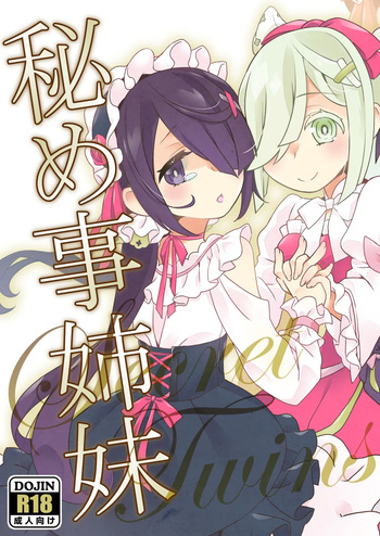 [Fujinariya (Fujinari Touya)] Himegoto Shimai - Secret Twins  [Digital] cover