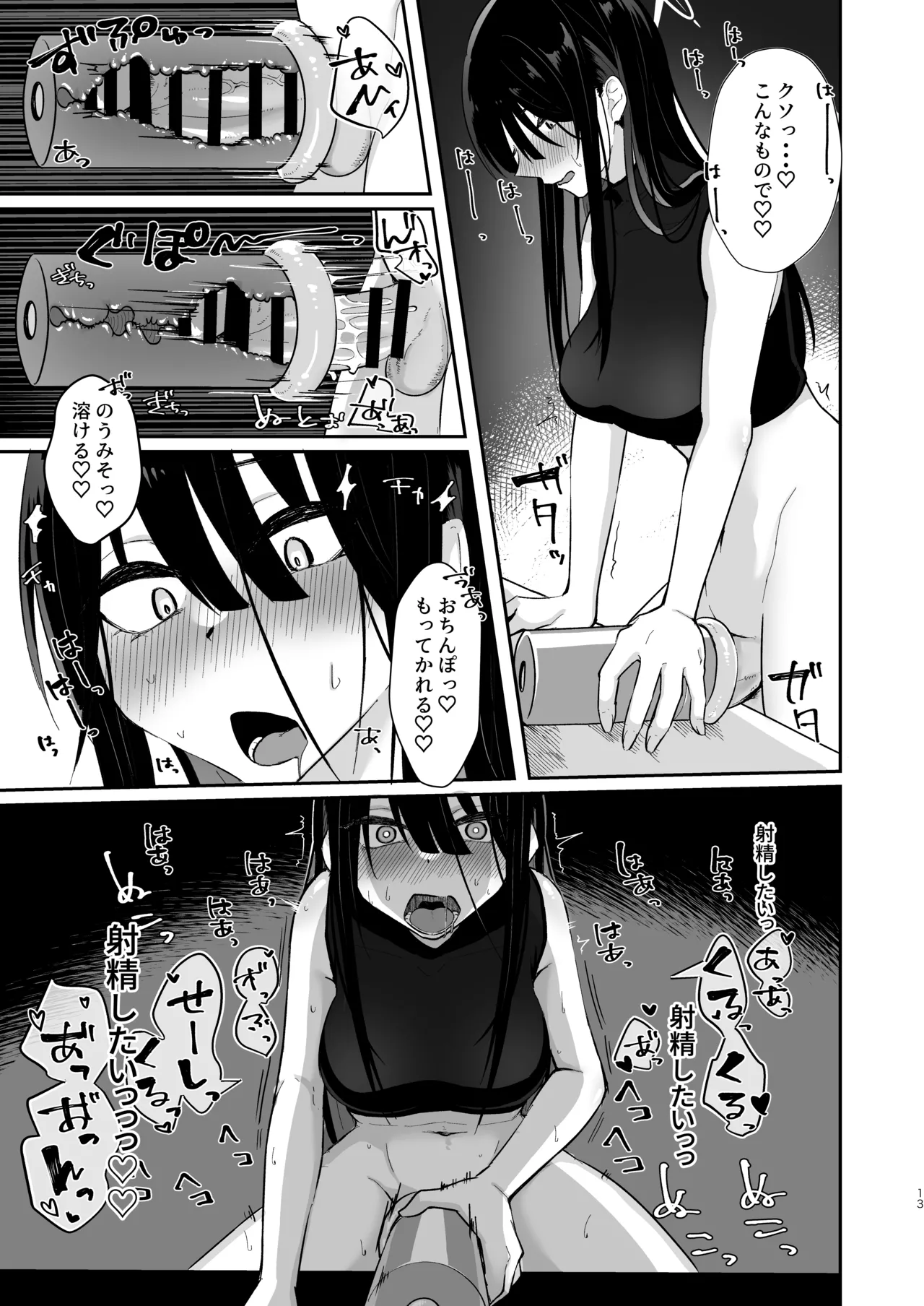 Subject No.025 FT-SOR Type Progress Report page 12 full