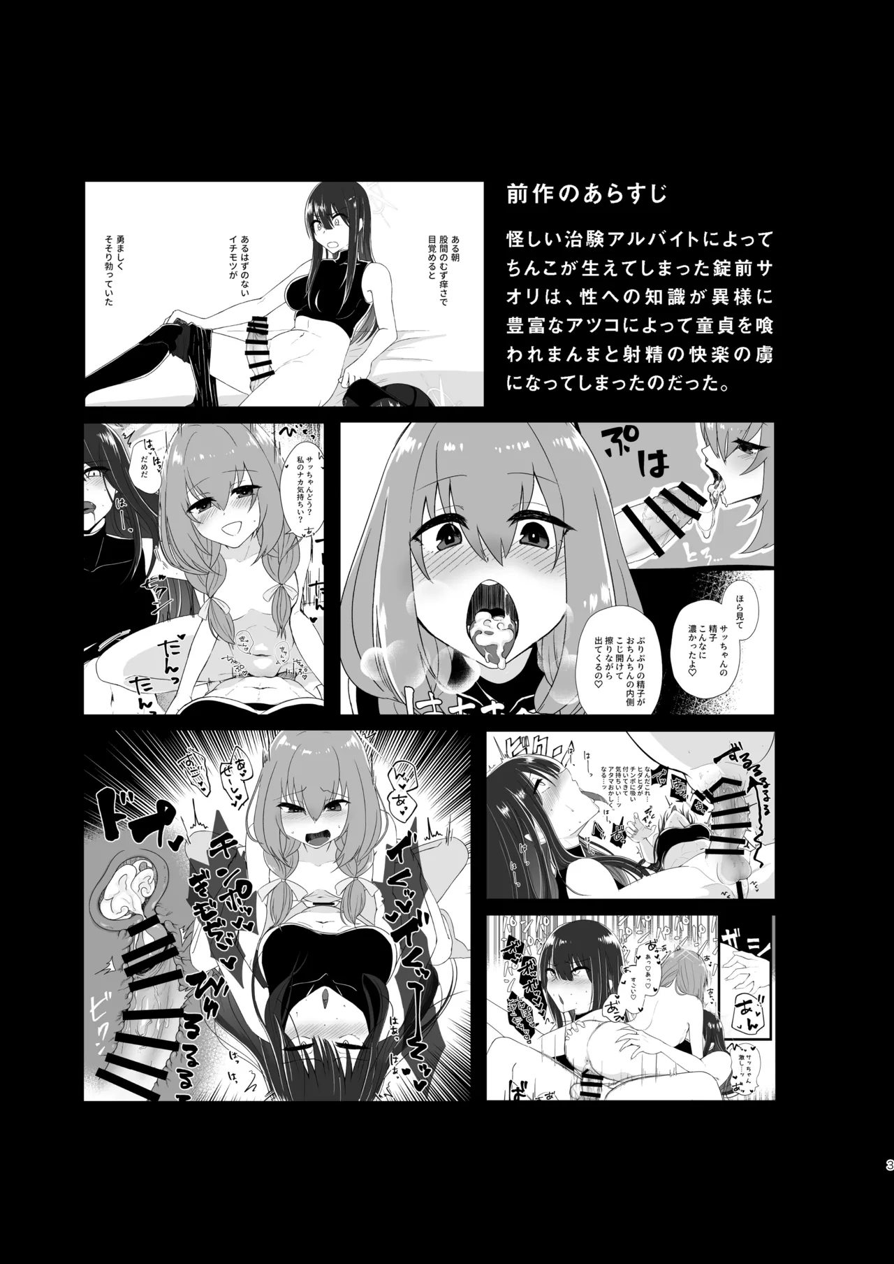 Subject No.025 FT-SOR Type Progress Report page 2 full