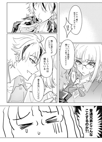[  kirin]Ayaricha fate strange fake   ) cover