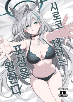 Shiroko Terror Gohoubi ga Hoshii | 시로코 테러는 포상을 원한다