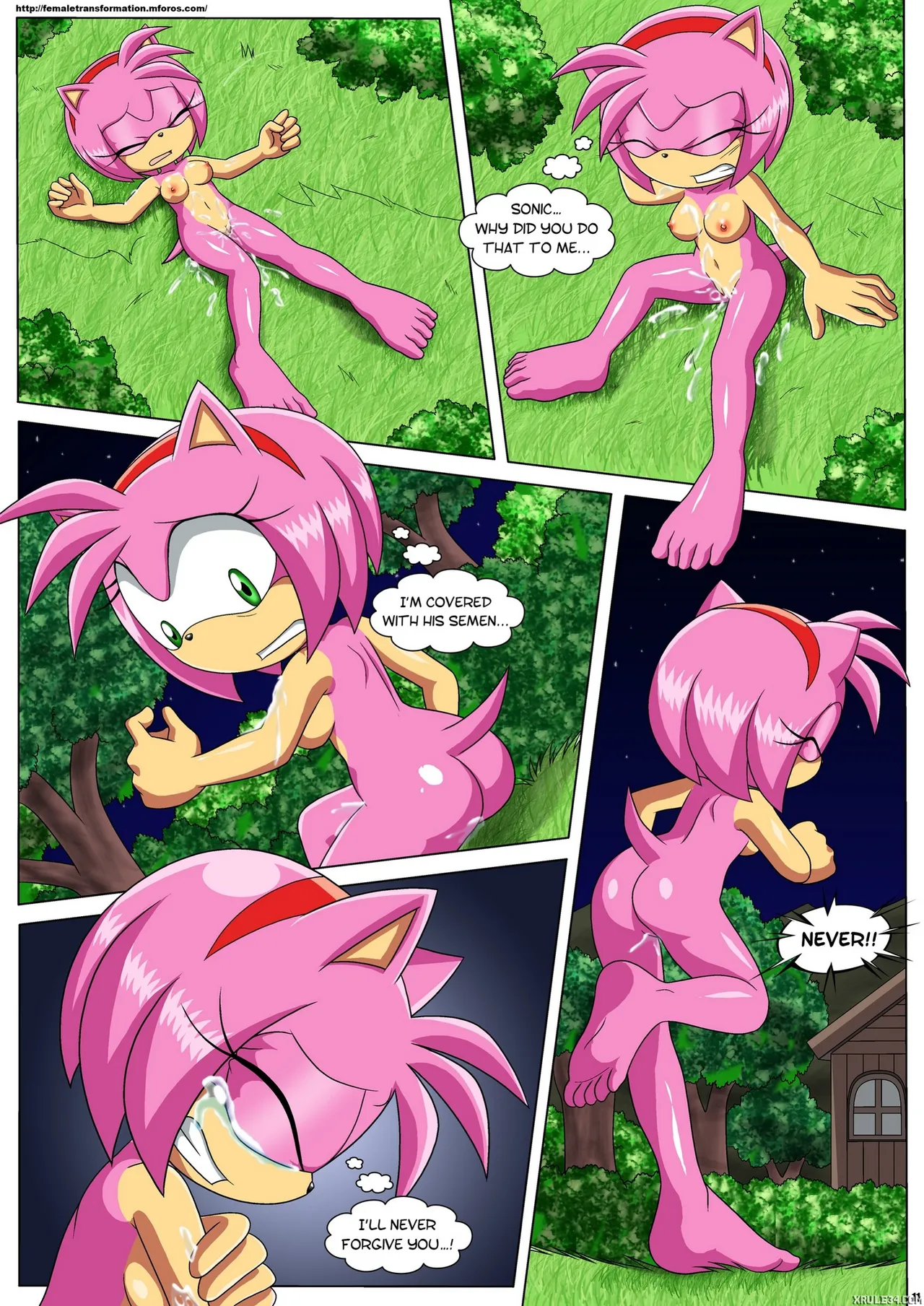 Mobius Unleashed: The Werehog page 12 full