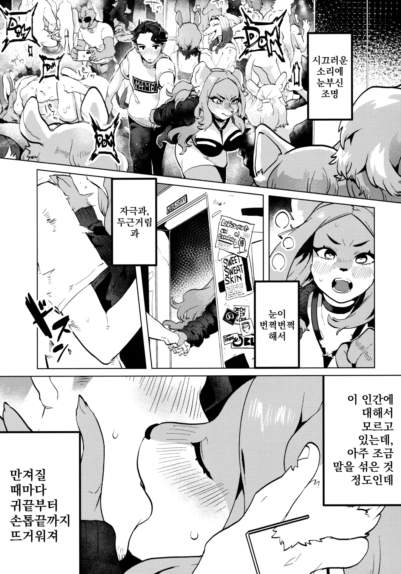 ELECTRONICDANCEMUSIC page 11 full
