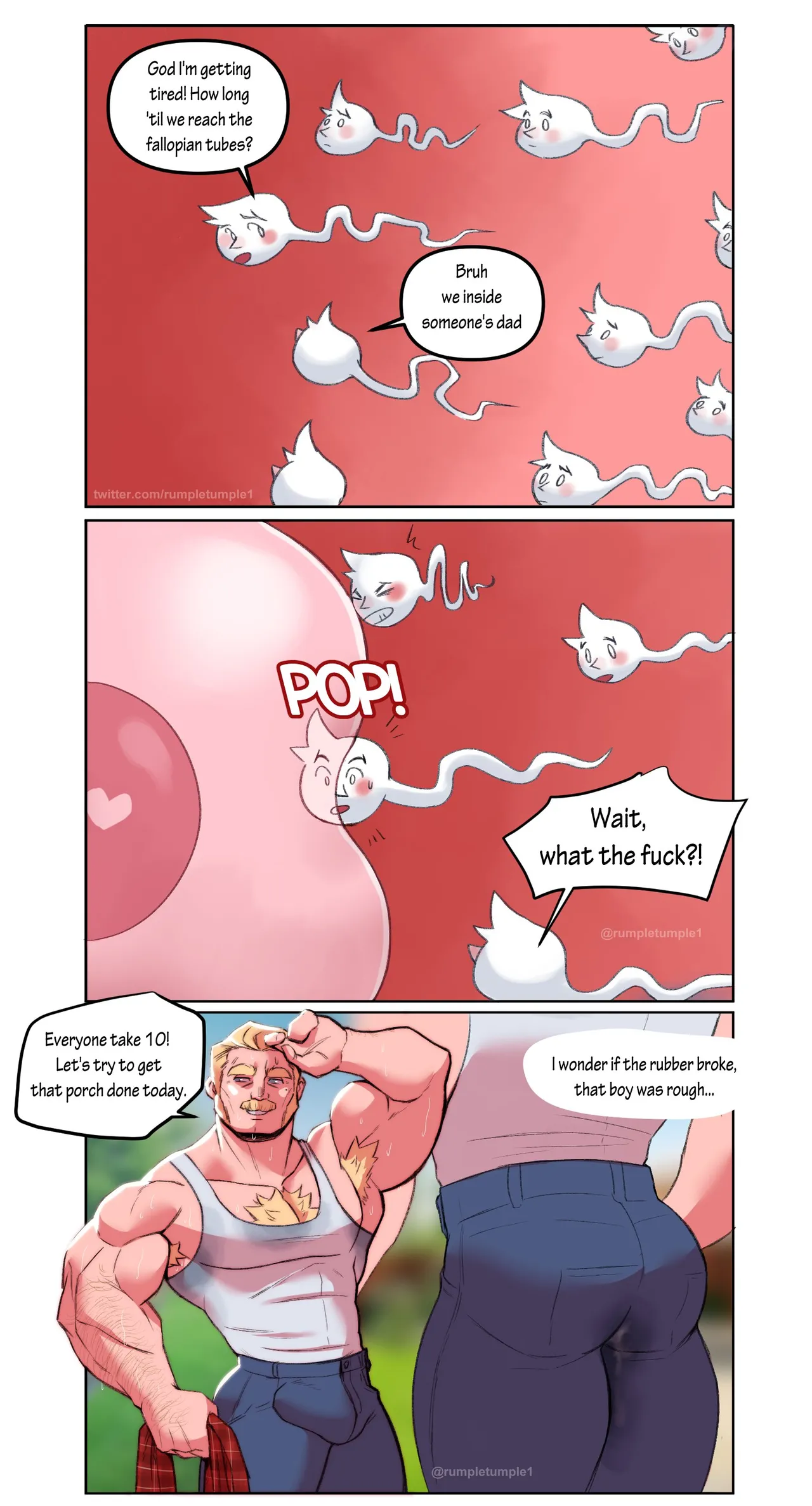 impregnation page 12 full