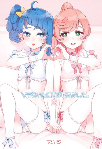 (C107) [Guruguru Taiyo (Sakura Kotetsu)] Sora-chan ni otintin ga Haemashita. 2 (Hirogaru Sky! Precure) cover