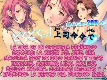Dokudoku tsu! Jōshi meirei de bijin okusama e naka dashi haramase e  hitodzuma to gōhō furin tsu (Spanish) MTL cover