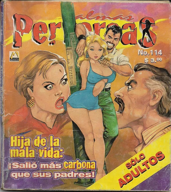 Almas Perversas 114 cover