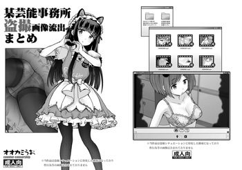 [COUNTER-CENSORSHIP (Ookami Uo)] Bou Geinou Jimusho Tousatsu Gazou Ryuushutsu Matome (THE IDOLM@STER CINDERELLA GIRLS) [Digital] cover